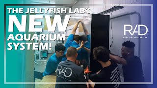 BUILDING A NEW RACK FOR OUR JELLYFISH LAB NEW KREISEL TANKS Part 2  REEF AQUARIA DESIGN [upl. by Koziara84]