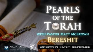 Pearls Of The Torah Bereshit [upl. by Hobart]