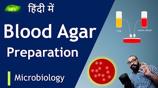 Blood Agar Media कैसे तैयार करें  Microbiology  Hemolysis Detection  Basic Science Series Hindi [upl. by Ammadas431]