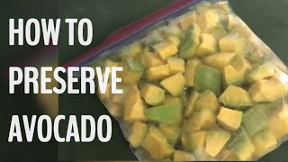 HOW TO PRESERVE AVOCADO [upl. by Ynnod]