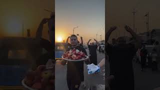 Basra To Karbala Arbaeen Walk 498 Km Live From Basra Iraq  Longest Mashi To Karbala Part 2 1 [upl. by Kerrill]