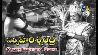 Ranadheera Movie Climax Scene  Telugu Movie Scenes  Jayam Ravi Dhansika  Sri Balaji Video [upl. by Brion]