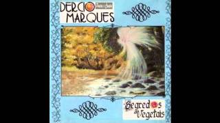 Marianinha Dércio Marques  Álbum Segredo Vegetais  1986 [upl. by Rennoc]