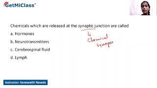 synaptic junction [upl. by Four]