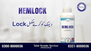 Best Termite Control Chemical in Lahore Pakistan  Hemlock Termite Spray in Lahore Deemak Control [upl. by Gough]