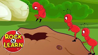 Ants Go Marching Song with Lyrics  Rock N Learn [upl. by Mauceri]