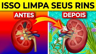 7 Maneiras de DESENTOXICAR e Limpar os RINS Naturalmente [upl. by Warfourd]