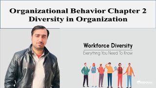 Organizational Behavior Chapter 2 Diversity in Organization [upl. by Uel]