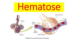 ENTENDA TUDO SOBRE A HEMATOSE [upl. by Bivins]