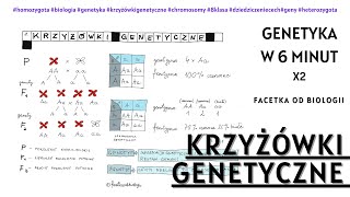 Jak robić krzyżówki genetyczne  Dziedziczenie cech  Biologia 8 Klasa  Genetyka  Lekcje online [upl. by Milka]