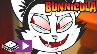 Bunnicula  Bunnicula wird zur Katze  Cartoonito [upl. by Hendrik]