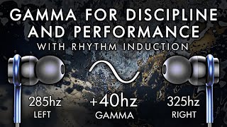 Gamma for Discipline amp Performance  40HZ Binaural Anti Procrastination [upl. by Myron]