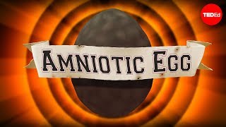 The gamechanging amniotic egg  April Tucker [upl. by Melony]