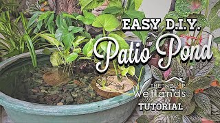 Part 1  EASY and ZERO Cost DIY Patio Pond Tutorial by The Indoor Wetlands [upl. by Reivaz325]