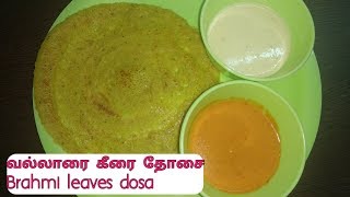 வல்லாரை கீரை தோசைVallarai keerai dosai I Brahmi leaves dosai in Tamil [upl. by Annoynek541]