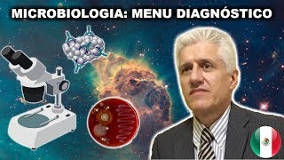 Dr Macías Microbiología Menú de diagnóstico [upl. by Acilgna]