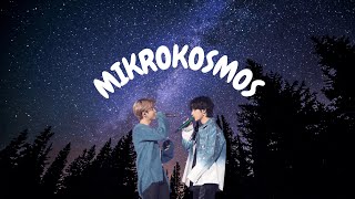 VMINs Soundtrack  Mikrokosmos  BTS 방탄소년단 Jimin And Taehyung Are Soulmates [upl. by Jutta518]