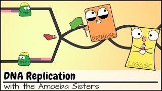 DNA Replication Updated [upl. by Ab783]