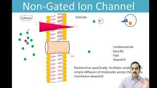 Transport Across Plasma Membrane Part I [upl. by Davison469]