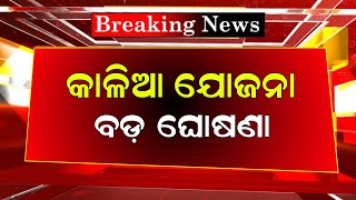 Kalia Yojana New Update 26 December  Kalia Yojana 2024 Update  Odisha TV [upl. by Lisha950]