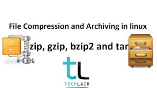 File Compression and Archiving with zip gzip bzip2 and tar  Linux Commands [upl. by Helena]