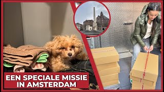 EEN SPECIALE MISSIE IN AMSTERDAM  2043 [upl. by Jepum236]