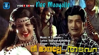 Nee Maayalle  Malayalam super hit video song  Thadavara  Jyothilakshmi others [upl. by Malaspina]