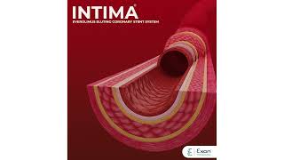 INTIMA Everolimus eluting coronary stent system [upl. by Gonroff]