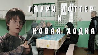 Гарри Поттер Смешная озвучка [upl. by Elyc304]