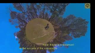 insta360 solo travel Binsar forest [upl. by Drona559]