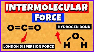 Hydrogen Bonds In Water Explained  Intermolecular Forces [upl. by Amero]