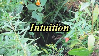 Henri Bergson 3 What is Intuition 2014 [upl. by Trueman]