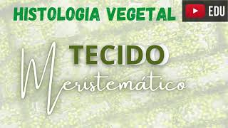 HISTOLOGIA VEGETAL  Tecidos Meristemáticos resumo [upl. by Andonis353]