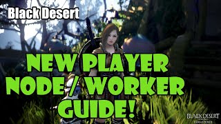 Black Desert New Player Node and Worker Guide  AFK Income [upl. by Ras]