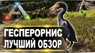 Гесперорнис Hesperornis в АРК Лучший обзор приручение разведение и способности в ark [upl. by Inalaehon402]