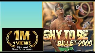 Sky To Be  Billet 2000 Audio Officiel [upl. by Nehtiek]