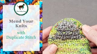 Mending Your Knits with Duplicate Stitch [upl. by Anafetse]