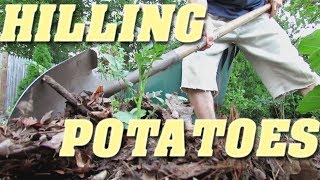 Hilling Potatoes  2 Methods [upl. by Eiloj]