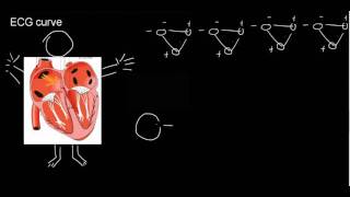 lecture 21 part 3 ECG Einthovens triangle [upl. by Eatnoled]