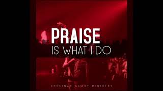 Praise Is What I Do  Shekinah Glory Ministry Outro Cut [upl. by Assille746]