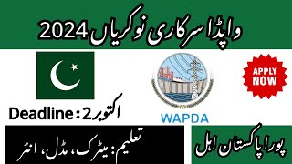 WAPDA Latest jobs 2024  New Govt jobs 2024  Today all Govt jobs in Pakistan  New Govt Jobs Today [upl. by Ruomyes]