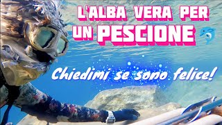 Pesca Sub LALBA VERA per un PESCIONE🐬  Chiedimi se sono Felice 😉 [upl. by Goetz354]