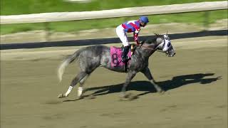 MONMOUTH PARK 51924 RACE 8 [upl. by Nelrah]