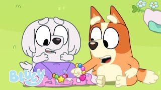 Passe le paquet 🎁  Épisode complet Saison 3  Bluey Français Chaîne Officielle [upl. by Halie]