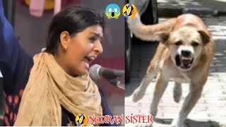 nooran sister  dama dam mast kalandar  comedy video [upl. by Calderon]