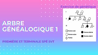 Exercice génétique 🧬  arbre généalogique 1 [upl. by Fita]