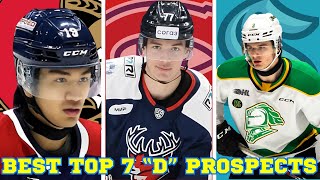 Who Are the Best Defensemen Prospects NHL Draft [upl. by Mis]