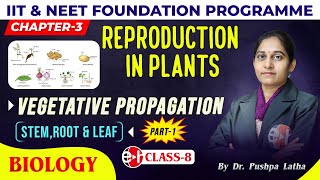 5 Vegetative Propagation  Stem Root Leaf  Part1  Reproduction In Plants  Class8  Biology [upl. by Addia]