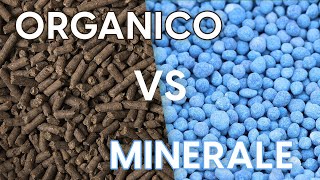 Concime organico vs concime minerale quale scegliere [upl. by Reh]