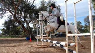 WPEC Showjumping Day Photography 60cm 2 Round [upl. by Aylat]